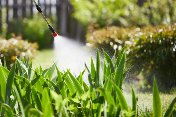 24/7 Emergency Mosquito Control experts in Dexter, MO